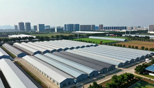 安装调试阶段的注意事项与维护建议